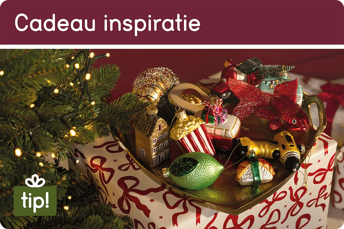 Cadeau inspiratie