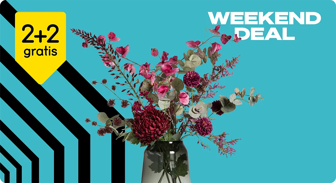 Black Friday Weekenddeal - Bekijk 2+2 gratis op alle kunst- en droogbloemen