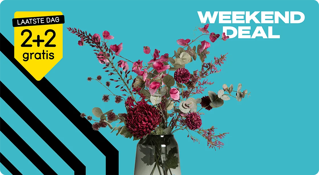 Black Friday Weekenddeal - Bekijk 2+2 gratis op alle kunst- en droogbloemen