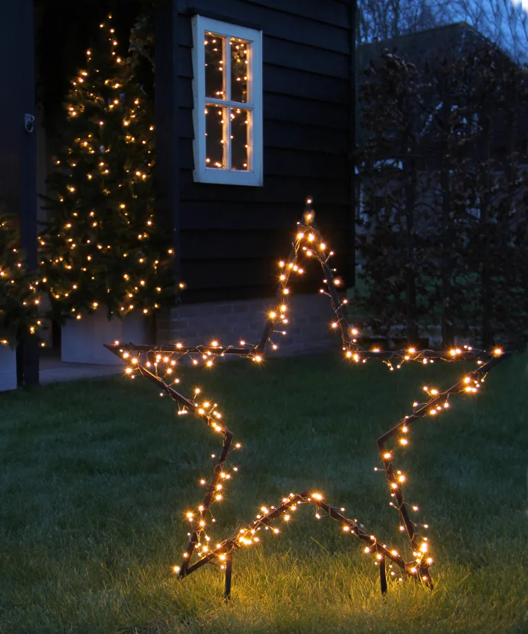 Garden d'Light Ster Tuinsteker met Warm Witte LED Verlichting