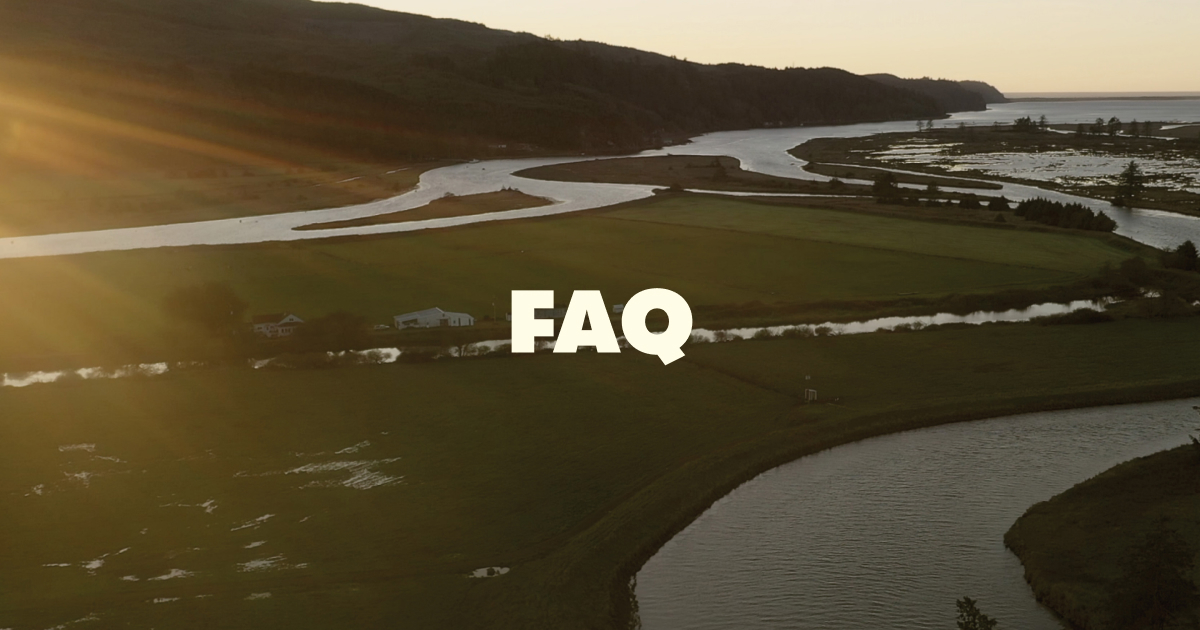 Why can't I find my favorite cheese flavor any more?