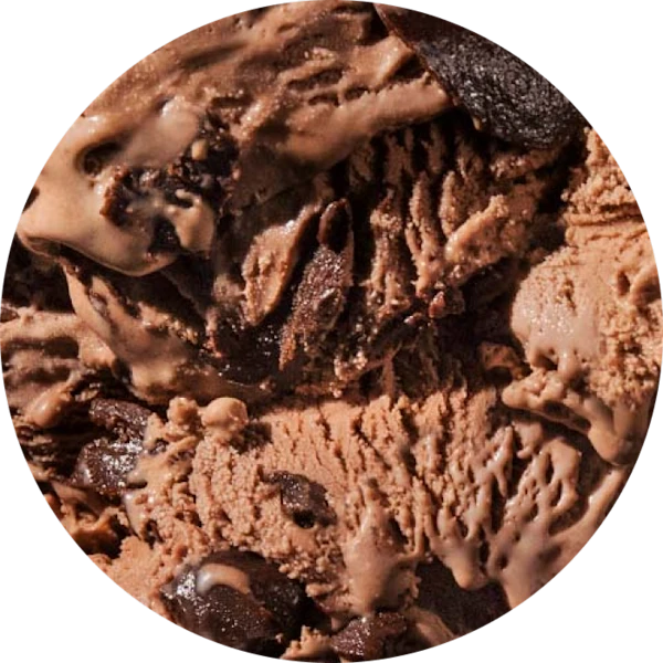 Tillamook Mudslide Ice Cream