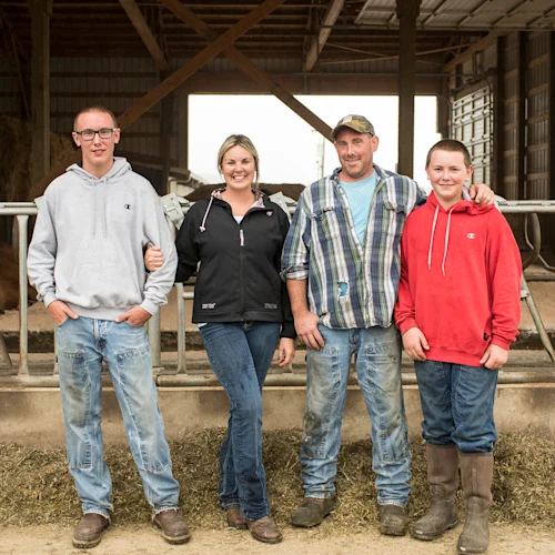 Cow care image 3