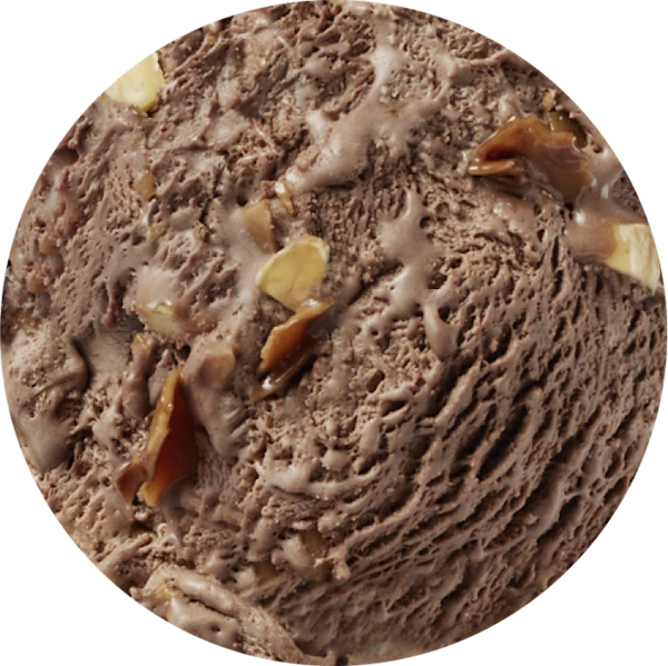 Chocolate Hazelnut Ice Cream