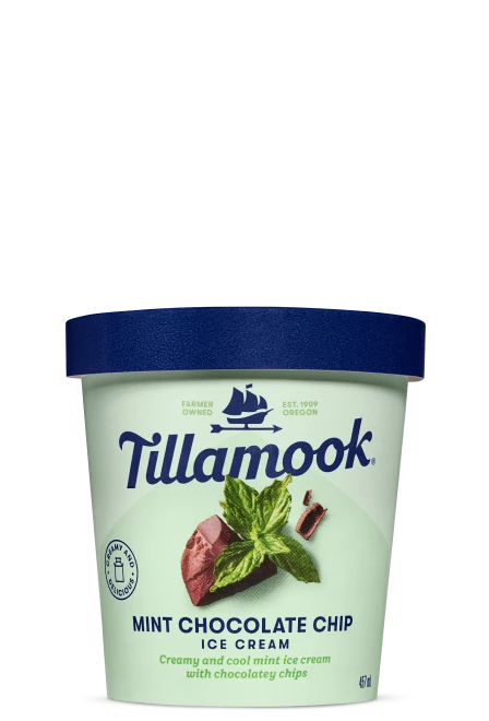 Tillamook Mudslide Ice Cream Pint