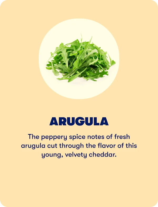 Arugula (Spring)