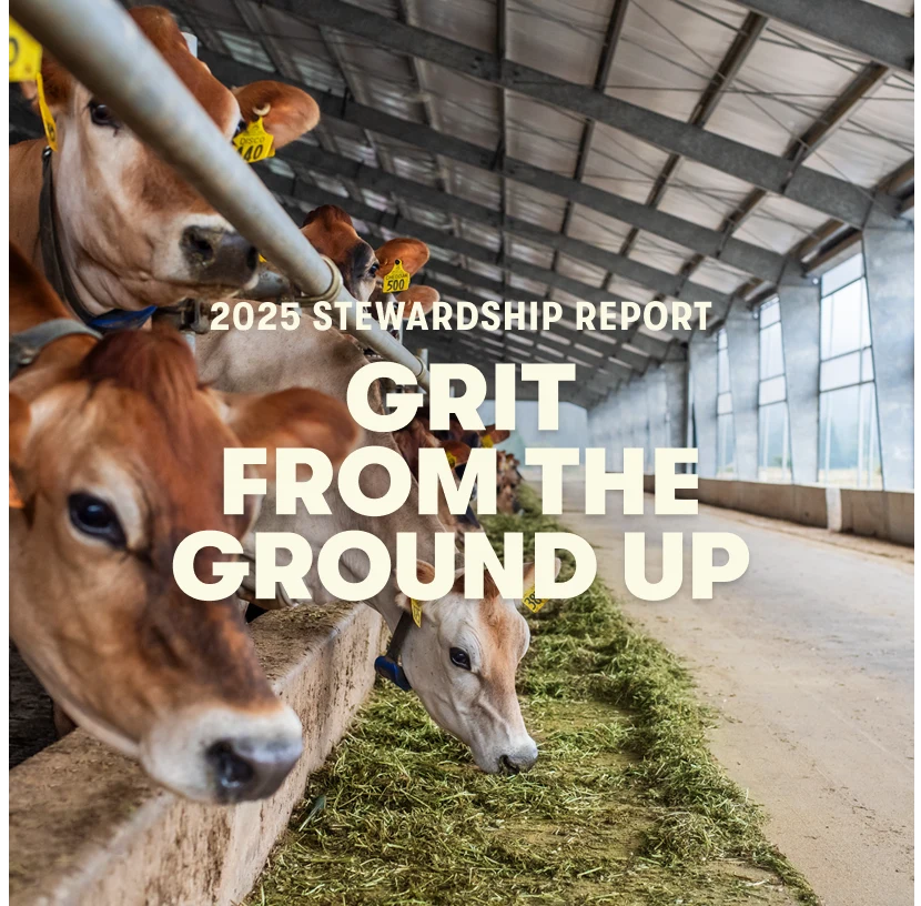 2025 Stewardship Report: Grit from the ground up