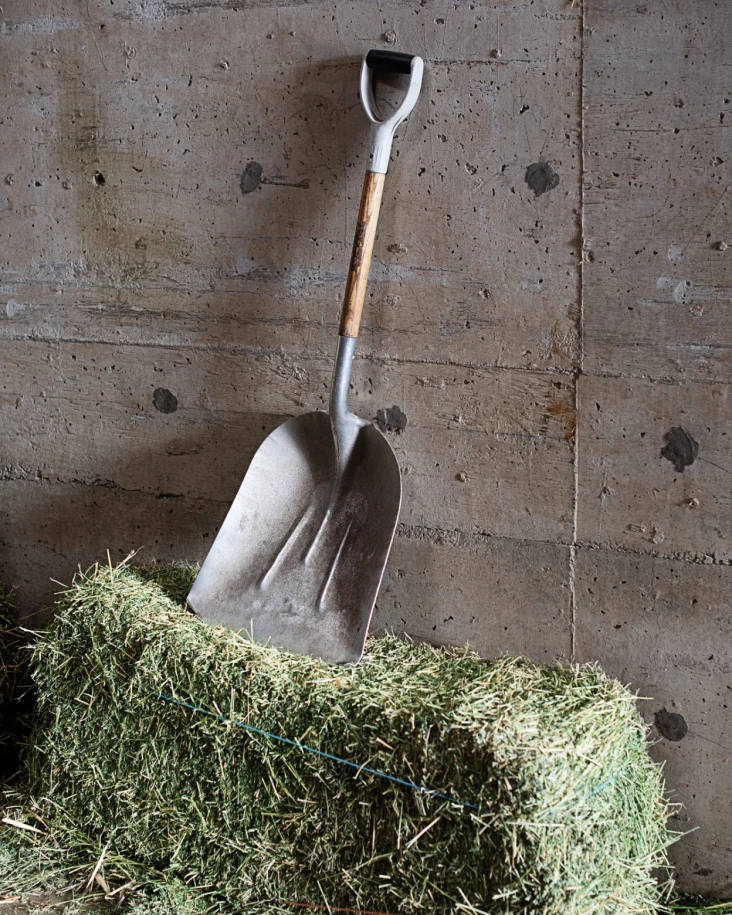 Hay with shovel