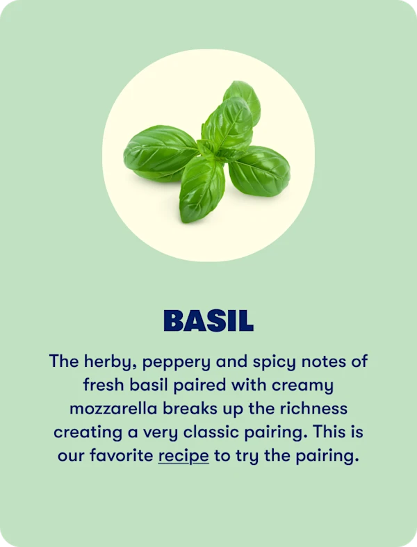 Basil (Spring)