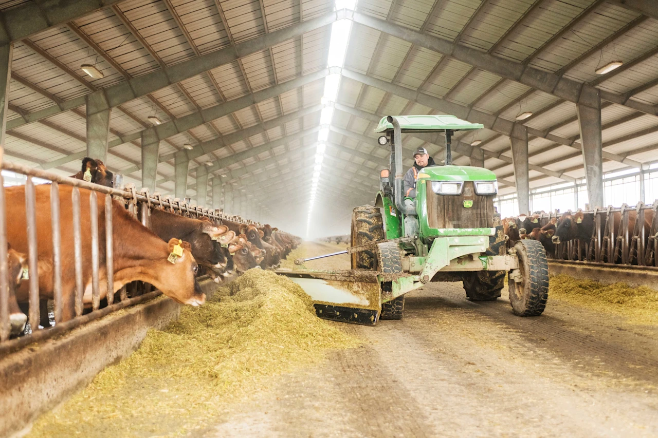 Feed pusher