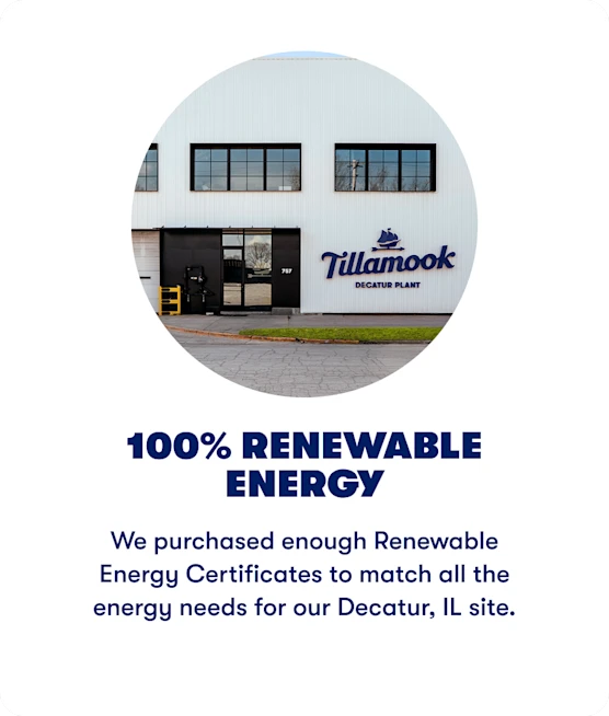 100% Renewable Energy