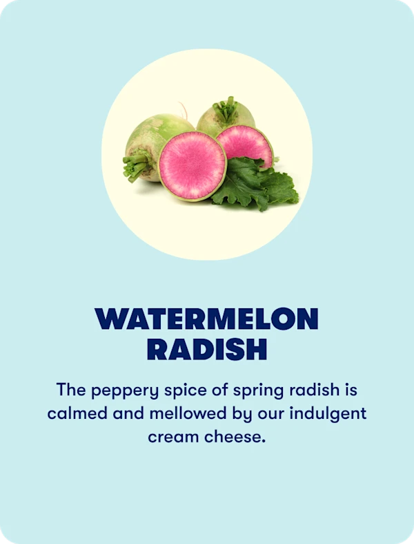 Watermelon radish (Spring)