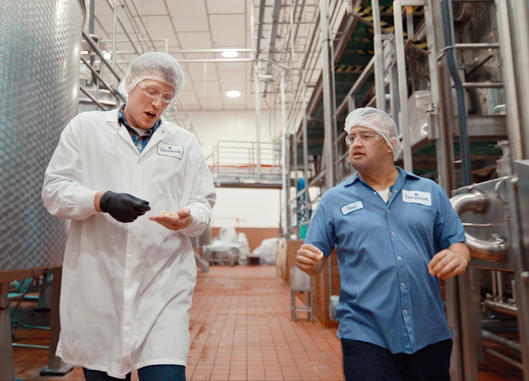 Water audit