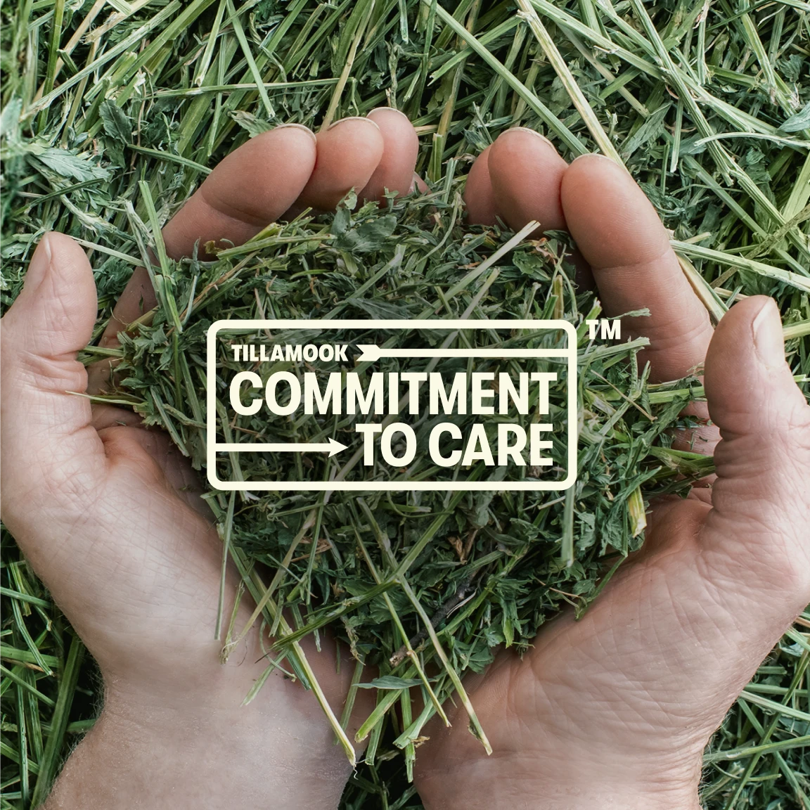Tillamook Comittment to Care logo and grass with hands