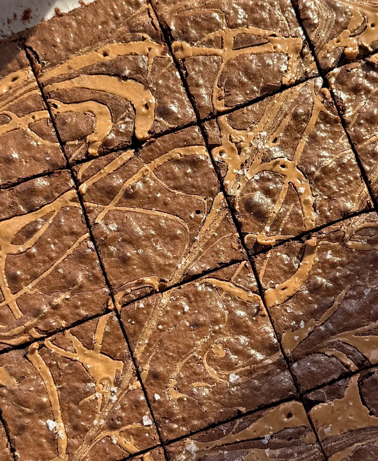 Peanut Butter Swirled Brownies hero image