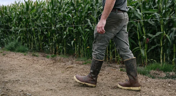 Farmer walking in corn field with tall boots