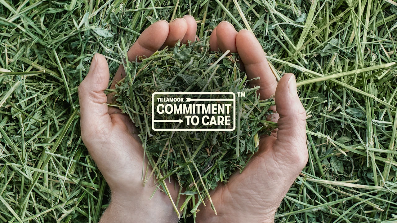 Tillamook’s Commitment to Care Continues