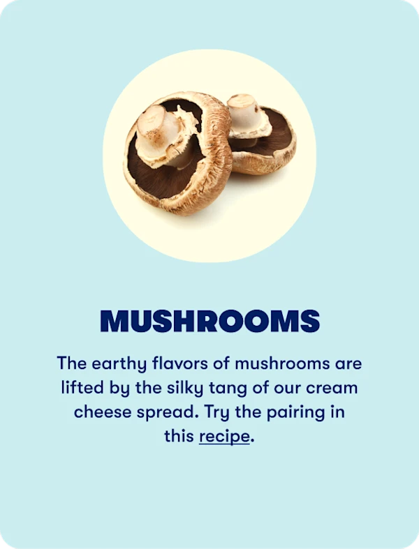 Mushrooms (Winter)