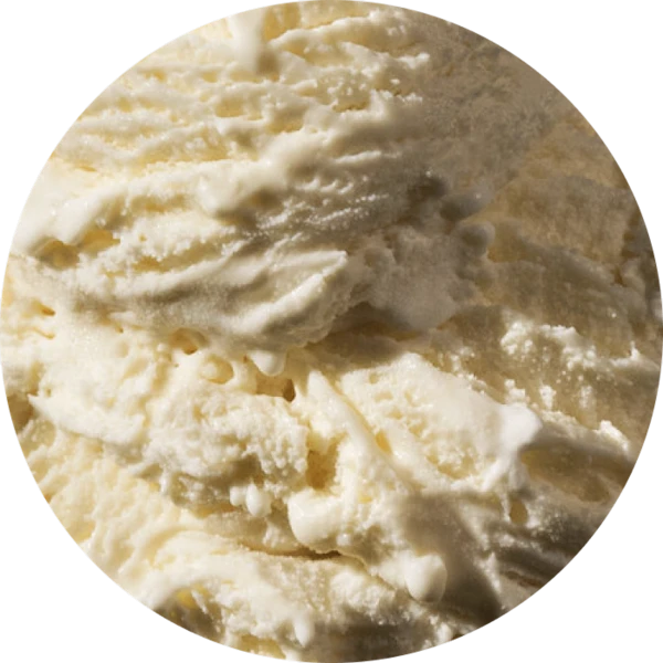 Old-Fashioned Vanilla Ice Cream