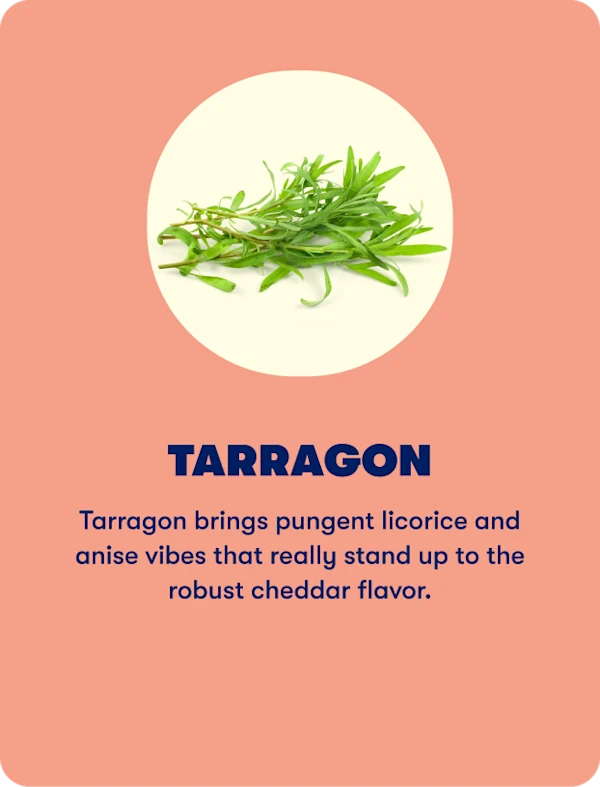 Tarragon