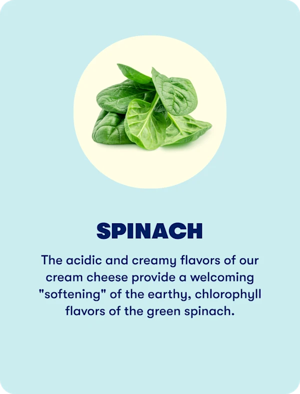 Spinach (Spring)