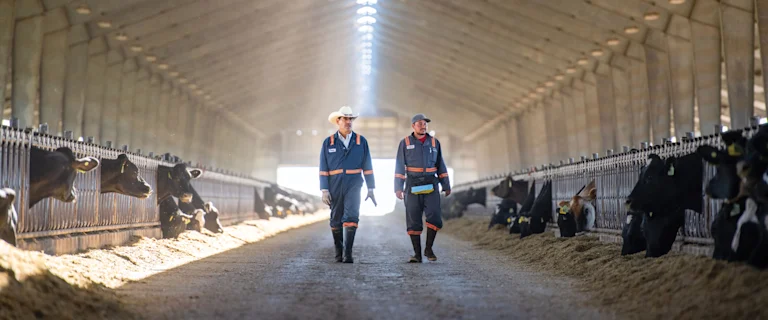 Two farmers walking