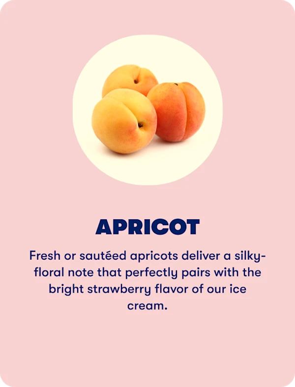 Apricot