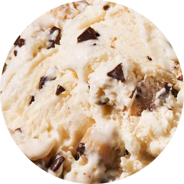 Chocolate Chip Cookie Dough Ice Cream