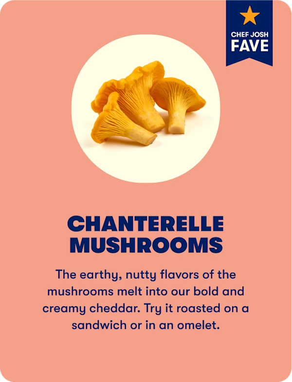 Chanterelle mushrooms 