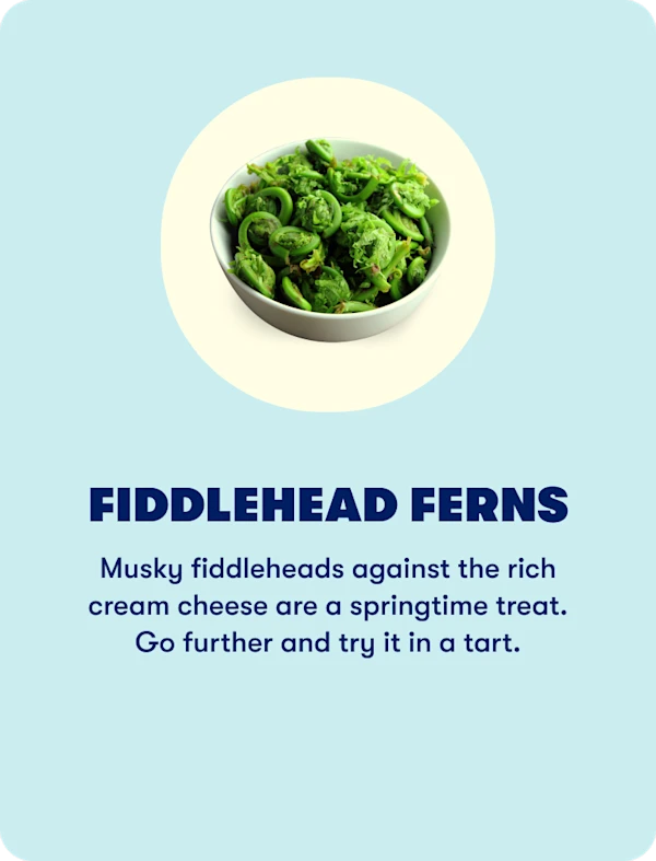 fiddlehead ferns