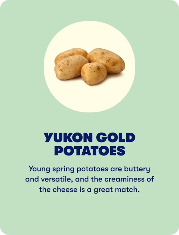 Yukon Gold Potatoes (Spring)