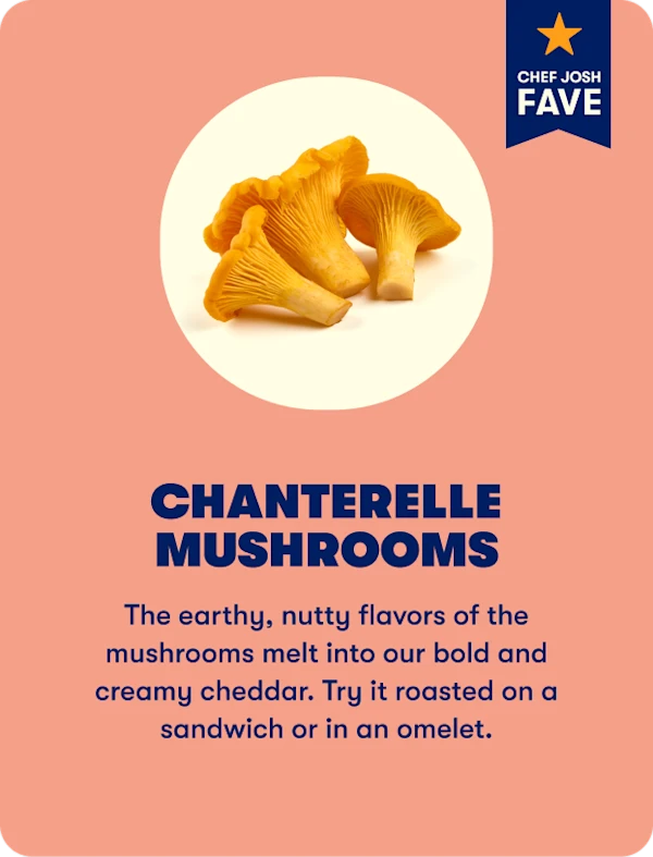 Chanterelle mushrooms