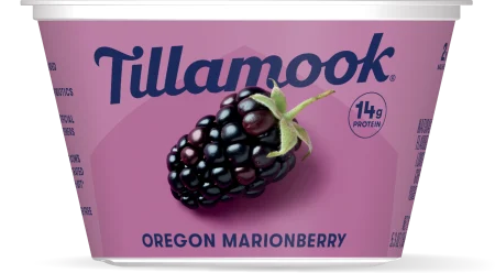 Oregon Marionberry Greek Yogurt