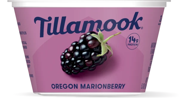 Oregon Marionberry Yogurt