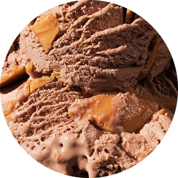 Chocolate Peanut Butter Ice Cream