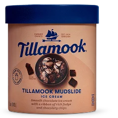 Tillamook mudslide