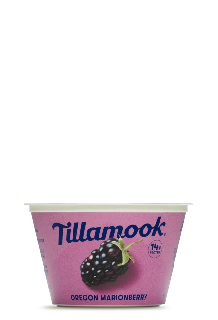 Tillamook Greek Marionberry Yogurt