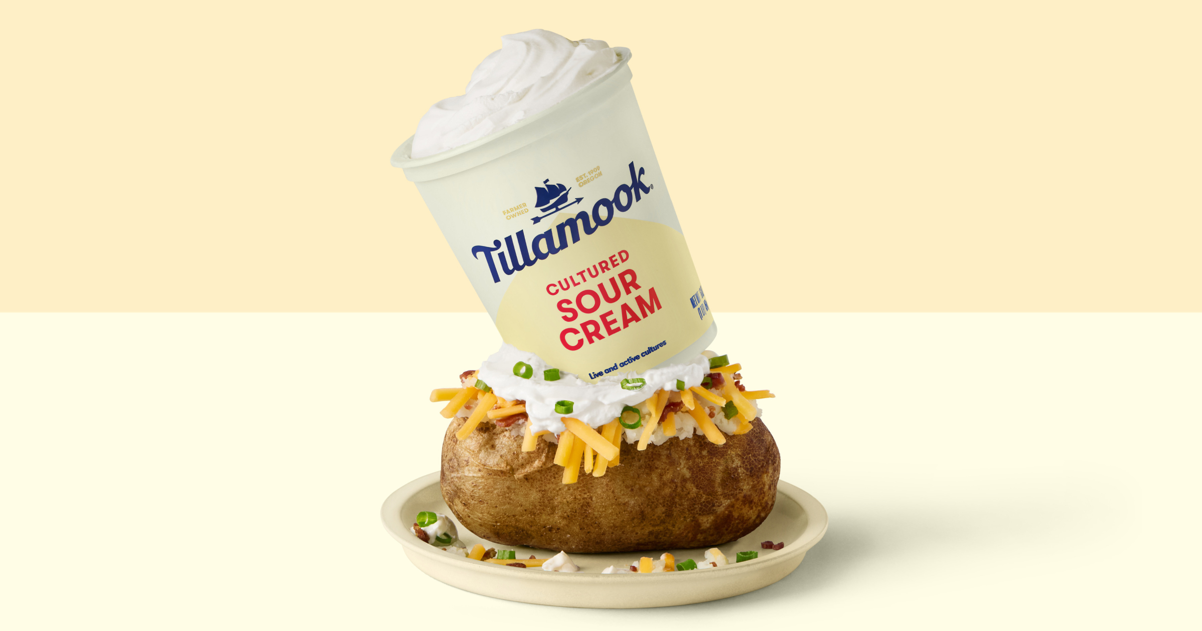 Sour Cream