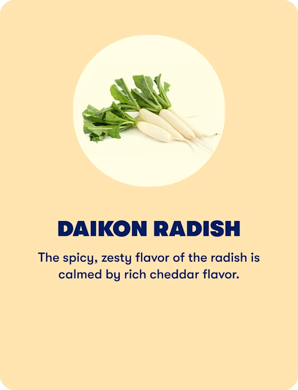 Daikon radish (Spring)
