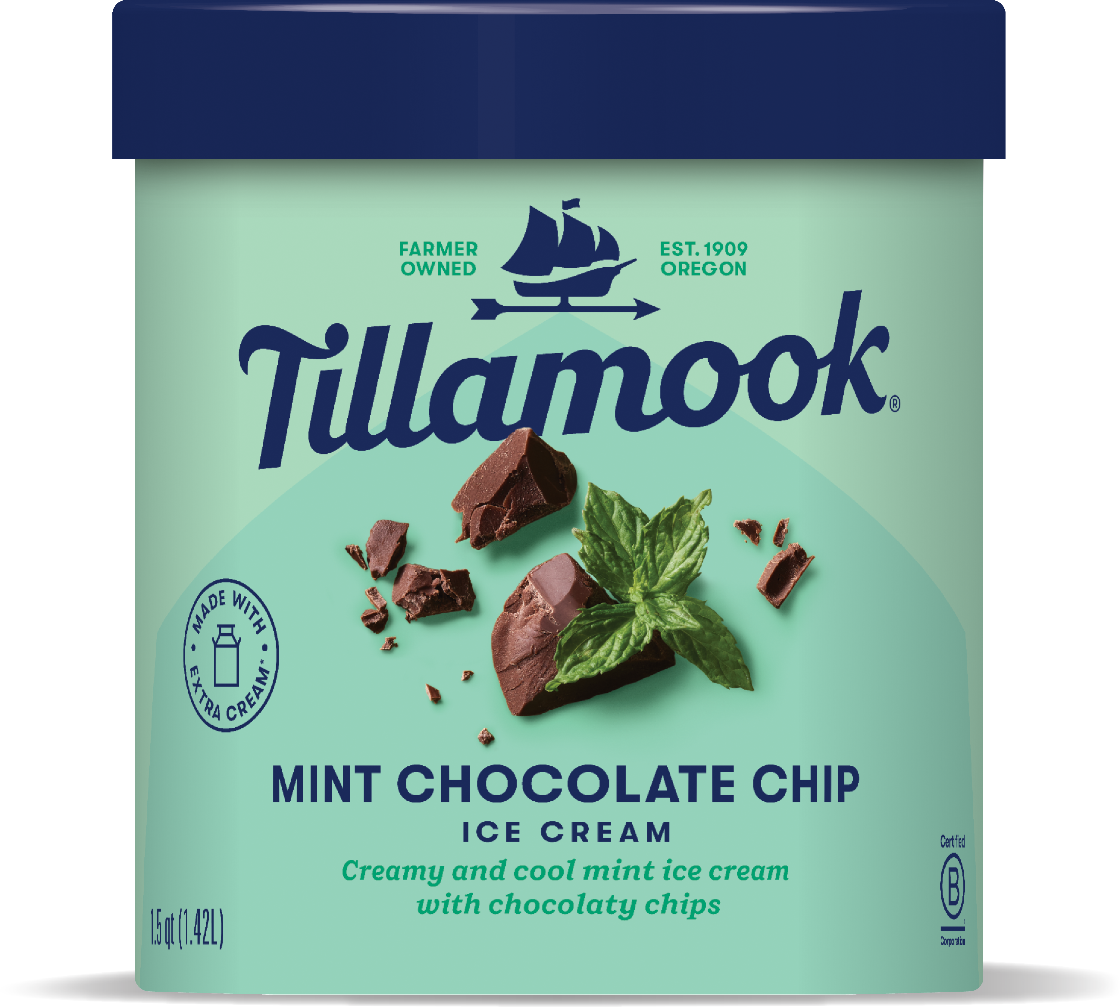 Mint Chocolate Chip Ice Cream - Tillamook