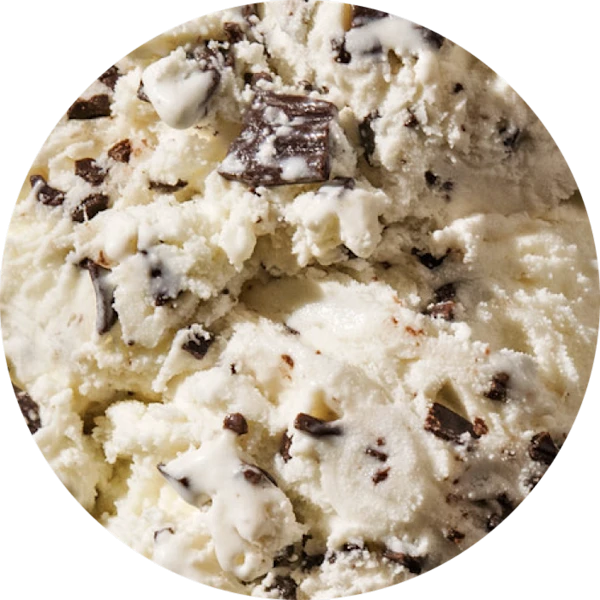 Chocolate Chip Ice Cream