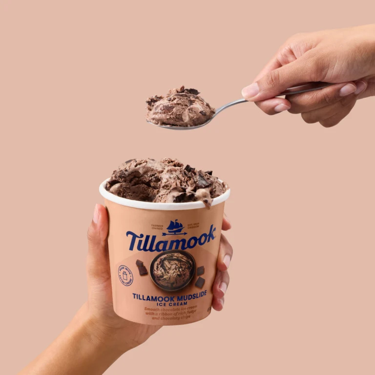 Tillamook Ice Cream Pints - Mudslide