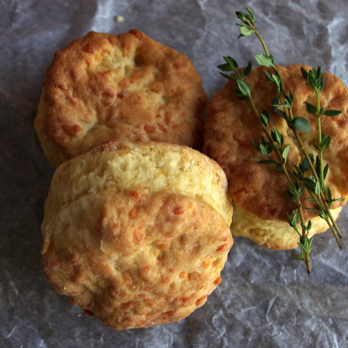 Sour cream and cheddar biscuits