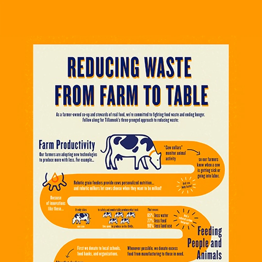 Reducing Waste flowchart
