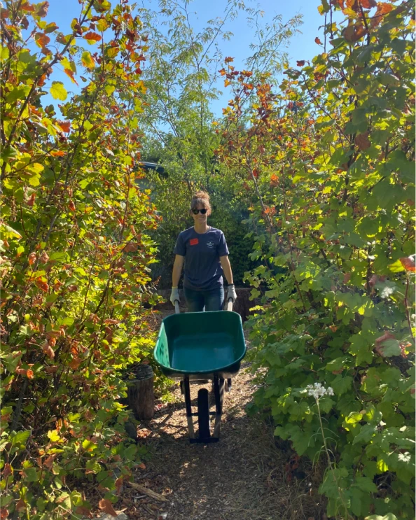 Tillamook employee in orchard