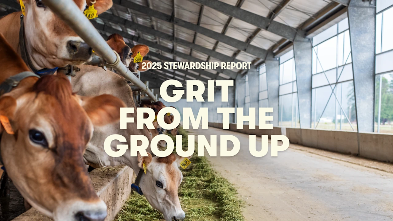 2025 Stewardship Report: Grit from the ground up