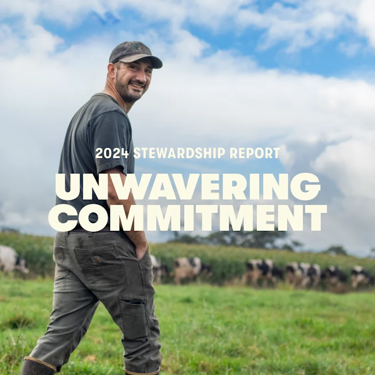 2024 Stewardship Report in the news card image