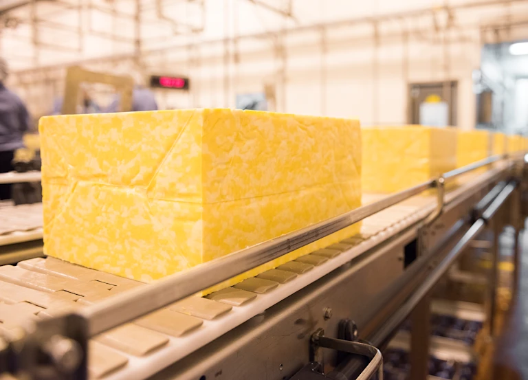 Tillamook Cheese on conveyer belt