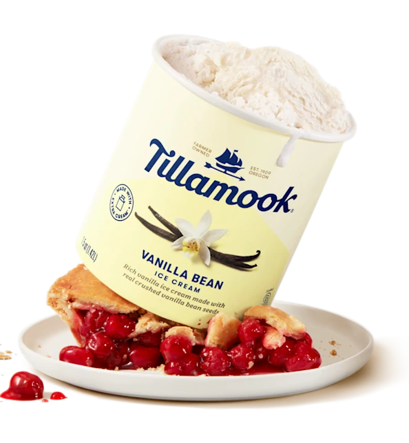 Tillamook Vanilla Bean Ice Cream