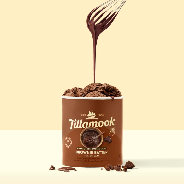 Tillamook Chocolate Collection Ice Cream - Brownie Batter